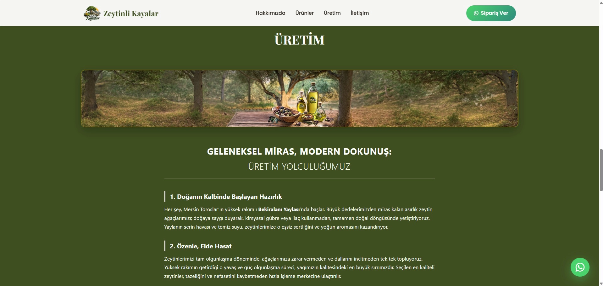 Zeytinli Kayalar Önizleme 2